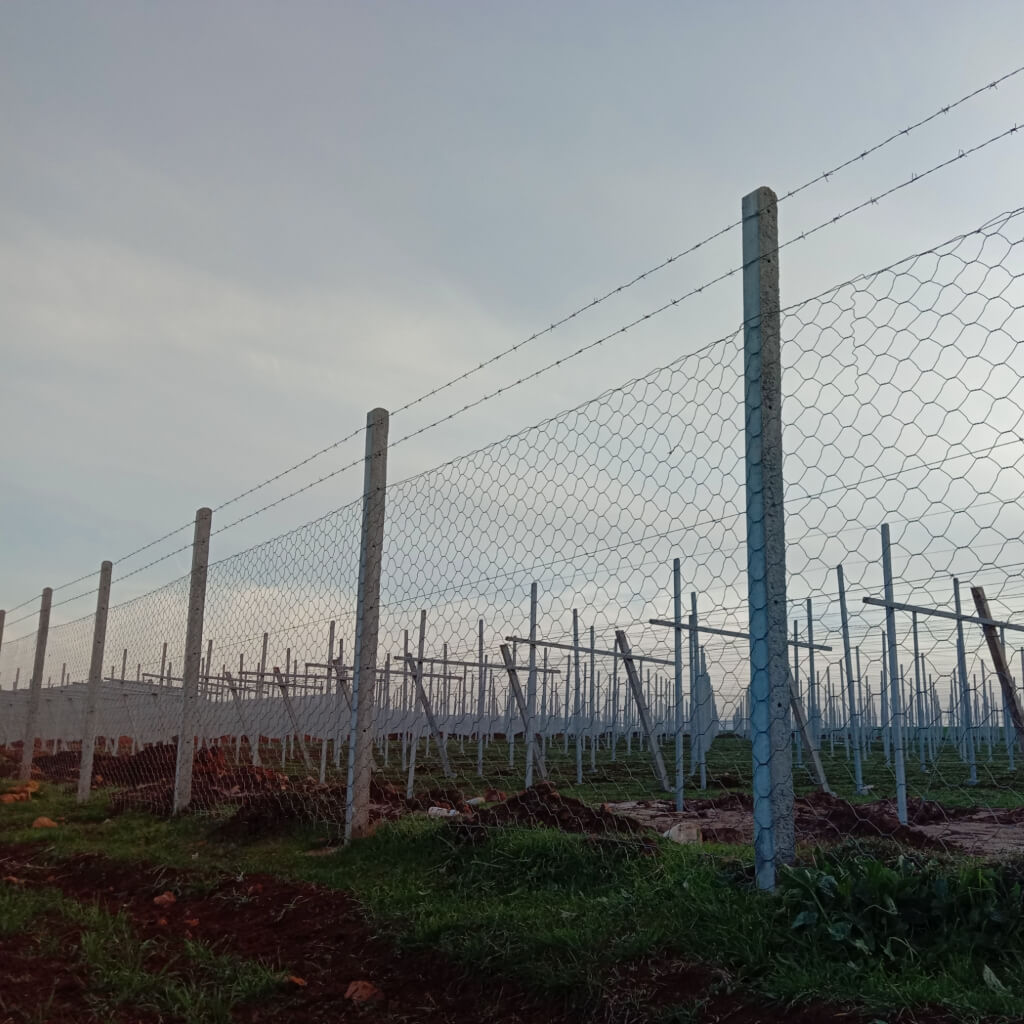 Grillage et cloture a terrain agricole de Grillage gabion