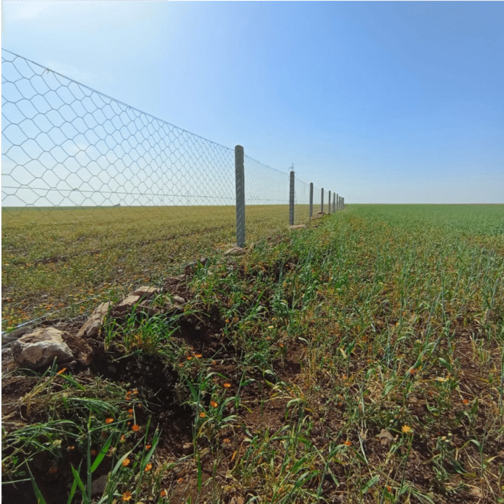 Grillage gabion galvavisé