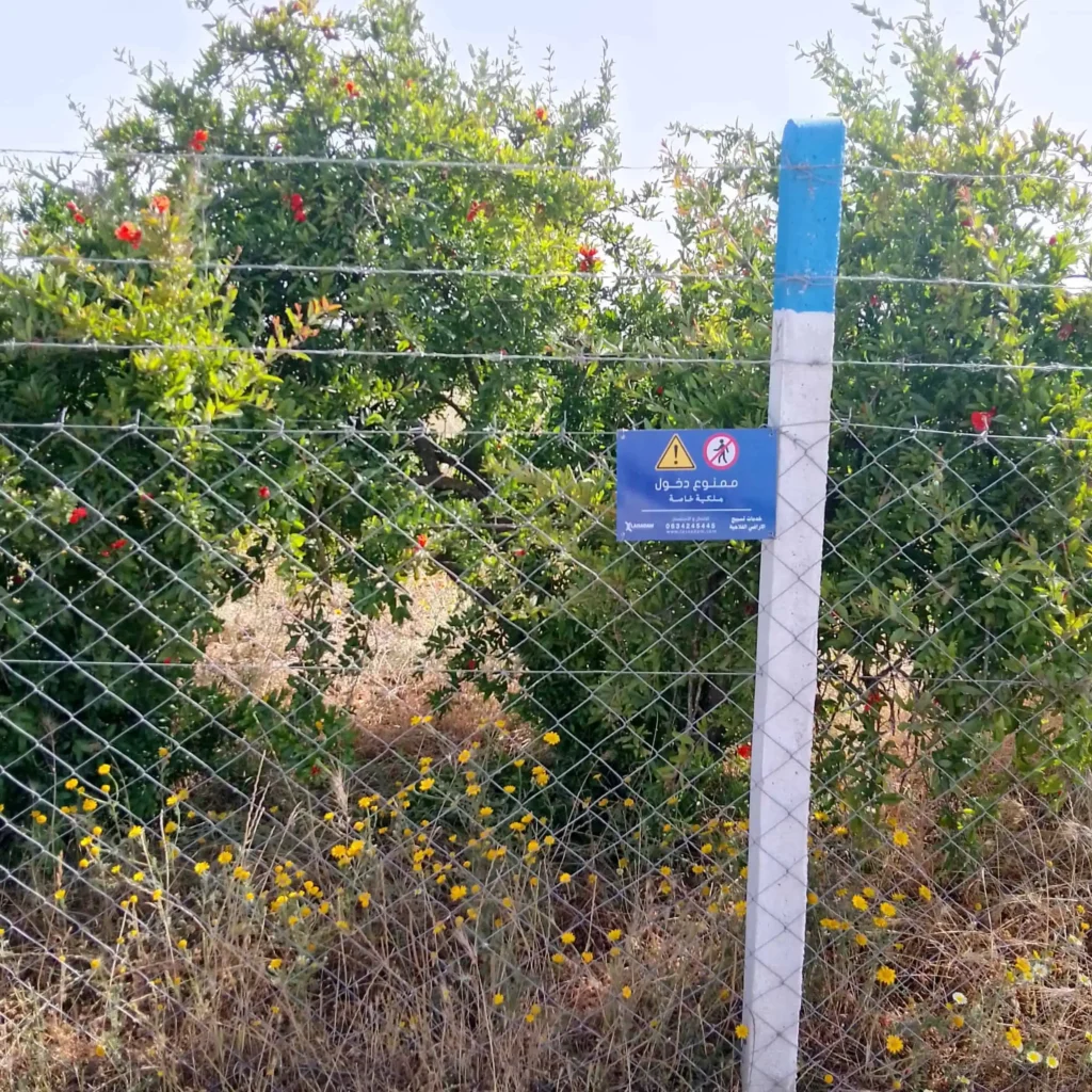 Installation d'une clôture en grillage avec poteaux en béton et fil de fer barbelé autour d'un terrain agricole.