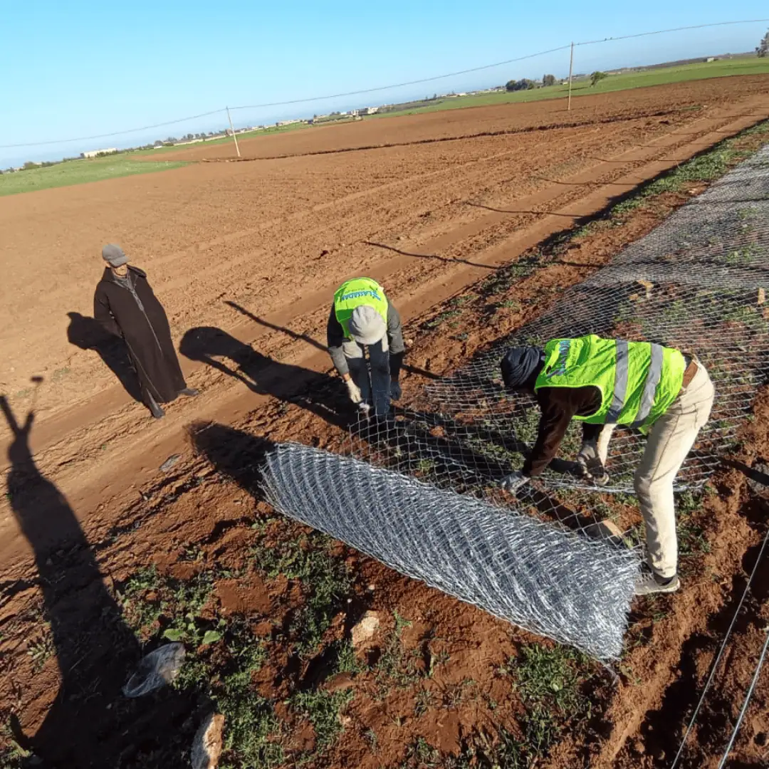 Pose d'un rouleau de grillage galvanisé par des ouvriers pour la clôture d'un terrain agricole.