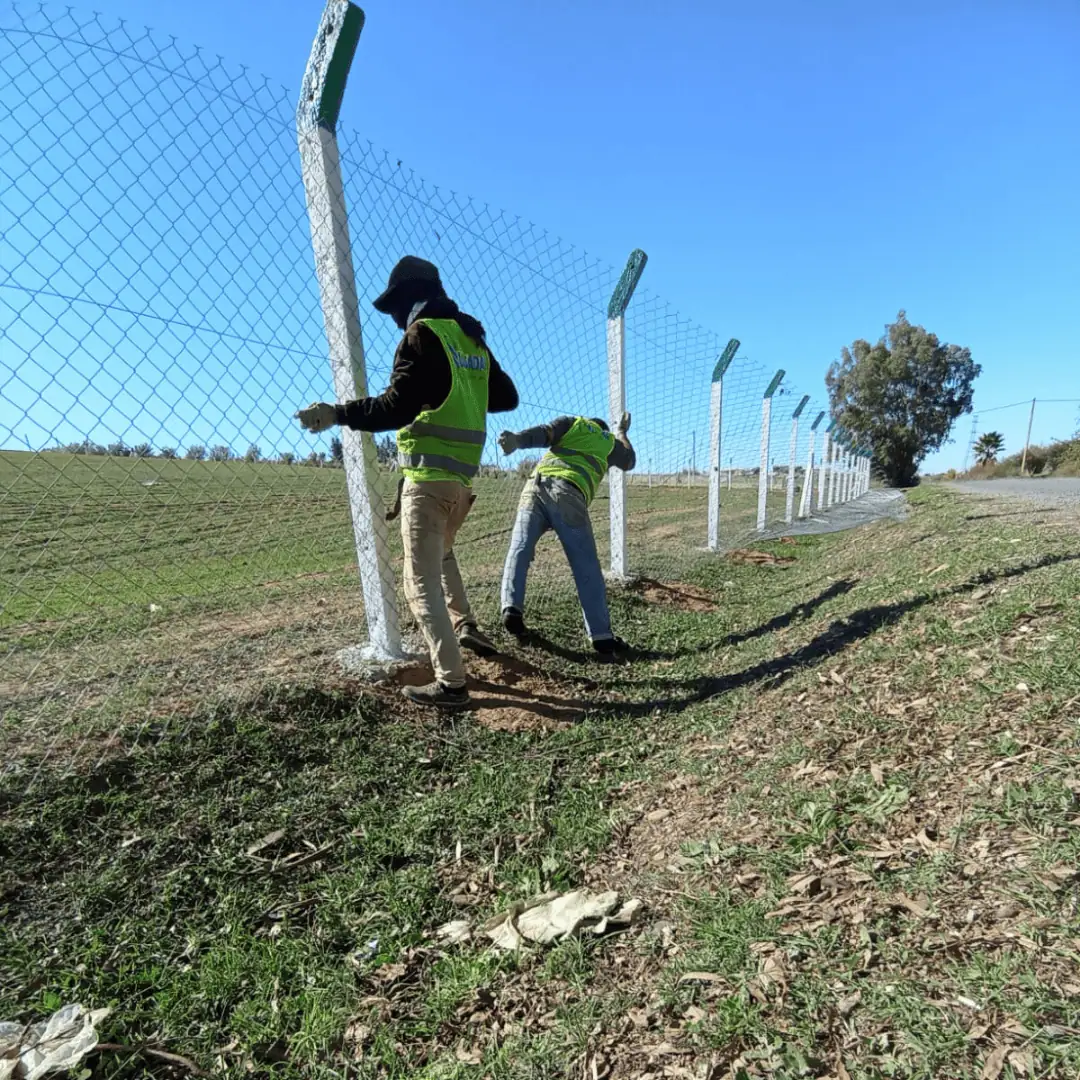 Ouvriers en plein travail de pose et tension de grillage sur des poteaux en béton pour une clôture agricole.
