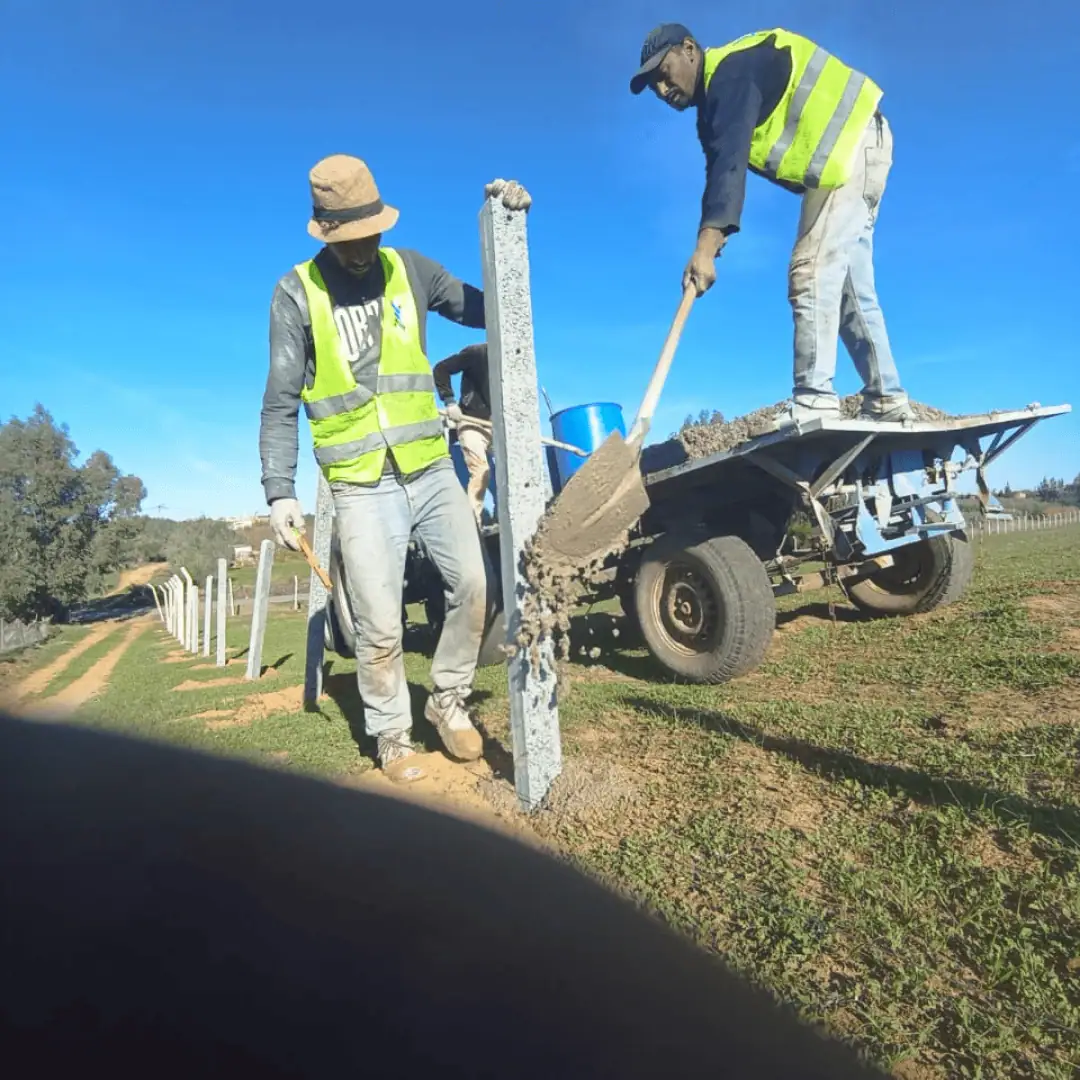 Ouvriers déchargeant du béton pour le scellage et la fixation d'un poteau de clôture agricole.