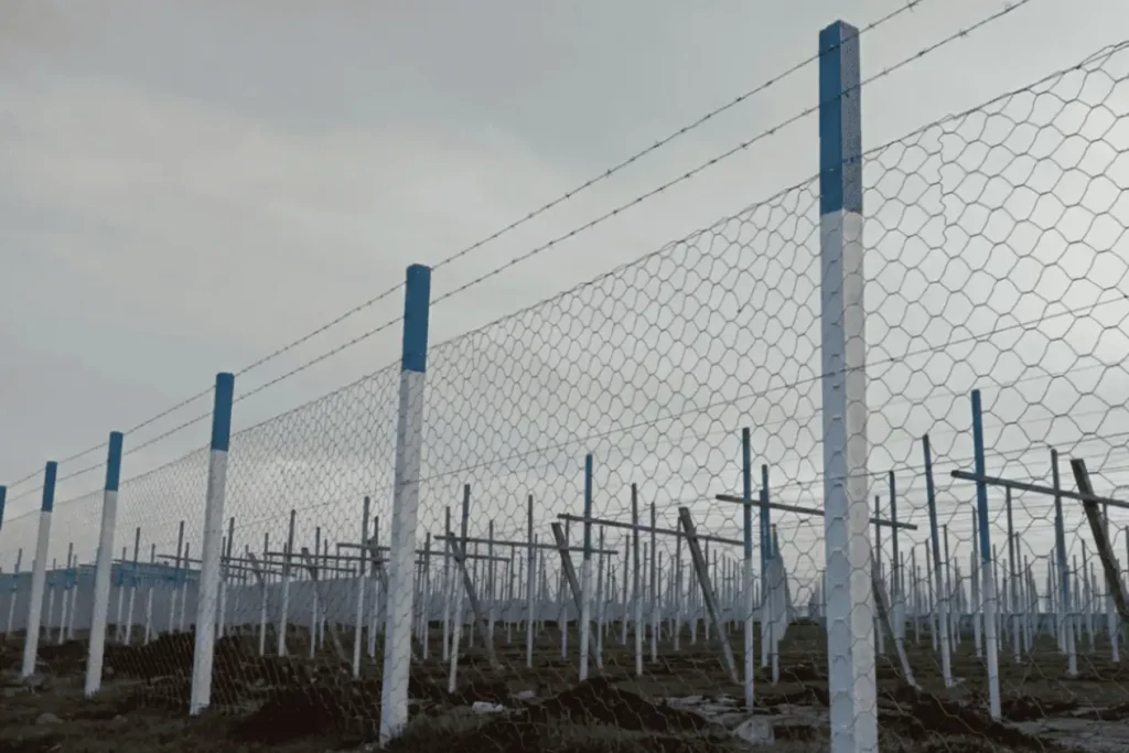 Clôture complète en grillage métallique avec poteaux en béton armé peints en bleu et blanc pour la protection d'un domaine agricole au Maroc.