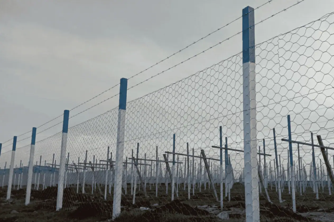Clôture complète en grillage métallique avec poteaux en béton armé peints en bleu et blanc pour la protection d'un domaine agricole au Maroc.