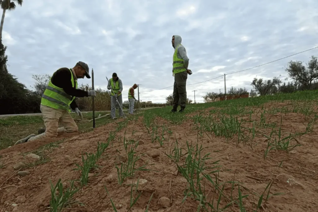 Ouvrier fixant le grillage métallique sur les poteaux en béton pour finaliser le tsiage d'une ferme au Maroc.