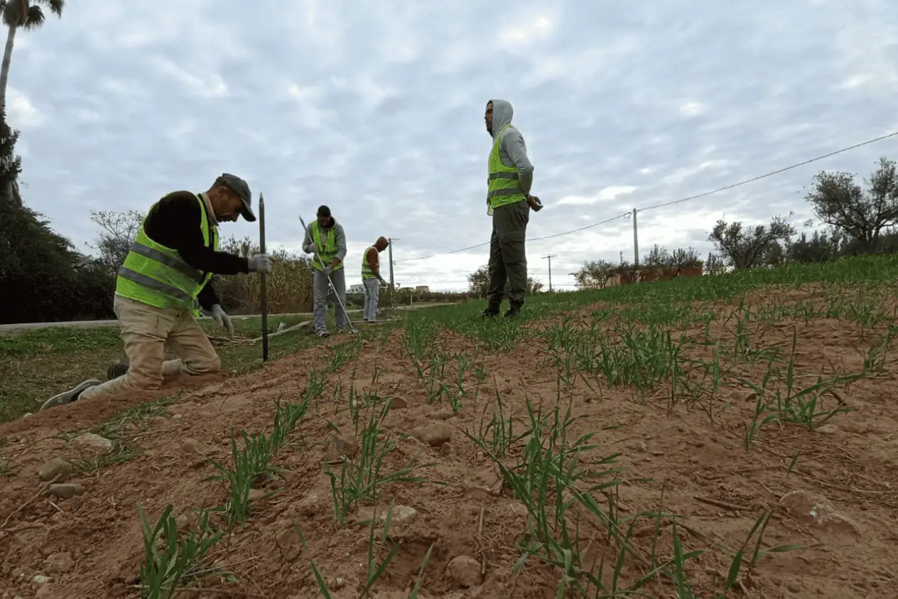 Ouvrier fixant le grillage métallique sur les poteaux en béton pour finaliser le tsiage d'une ferme au Maroc.