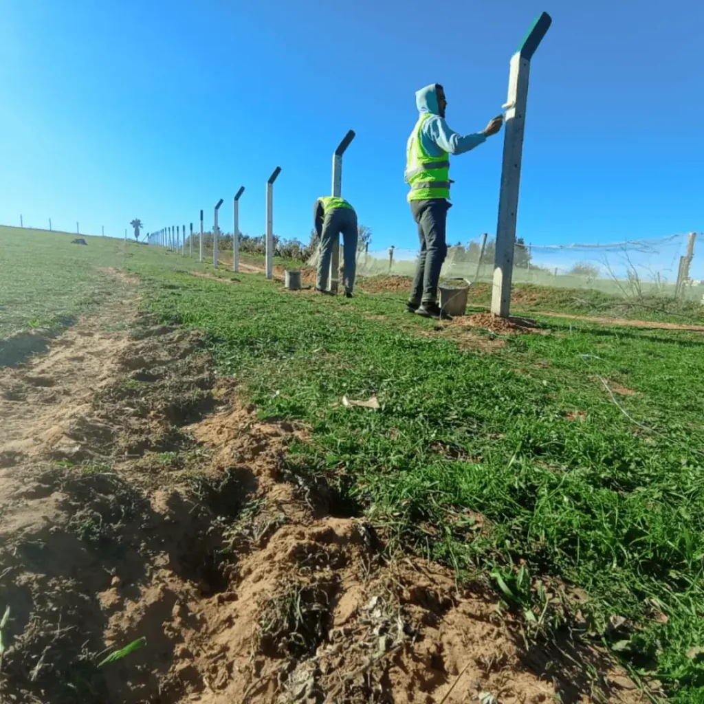 Ouvriers effectuant les travaux de finition et peinture sur des poteaux en béton d'une clôture agricole.